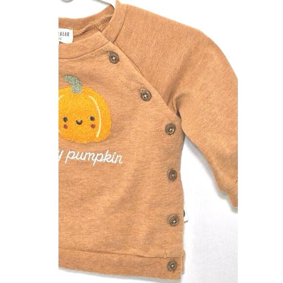 Rabbit +Bear pumpkin sweatshirt. Size 6-9 months. - Picture 3 of 8